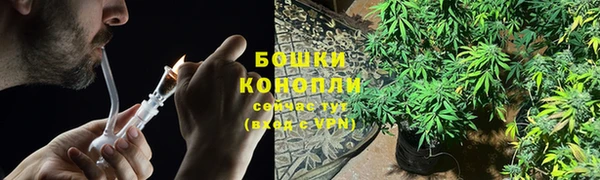ГАЛЛЮЦИНОГЕННЫЕ ГРИБЫ Абдулино
