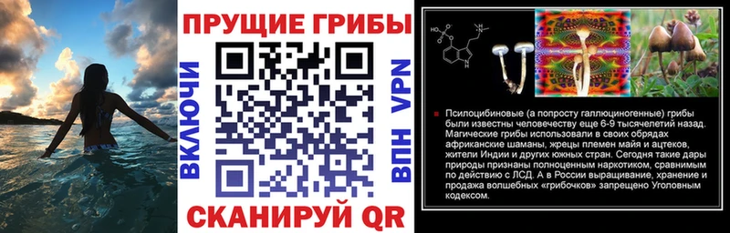 магазин продажи наркотиков Энгельс Галлюциногенные грибы Magic Shrooms
