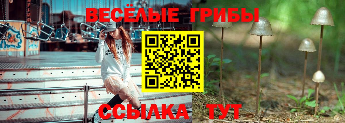 Энгельс  Псилоцибиновые грибы Psilocybe  Вход с VPN 